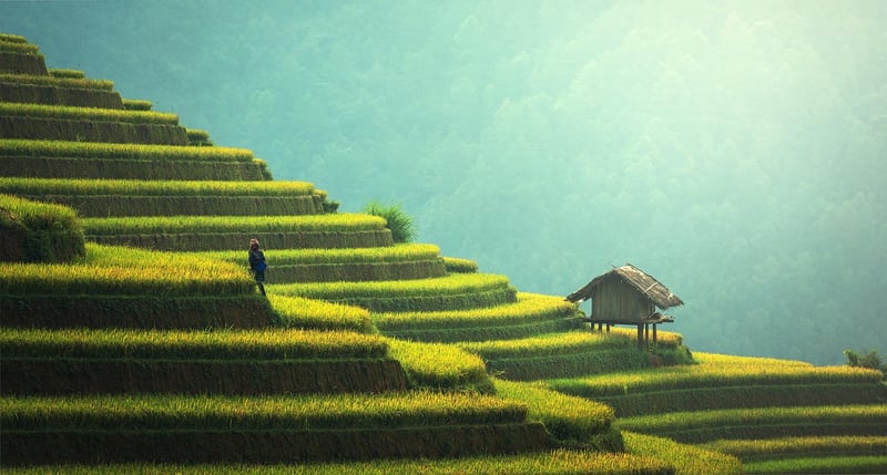 Sustainable creativity